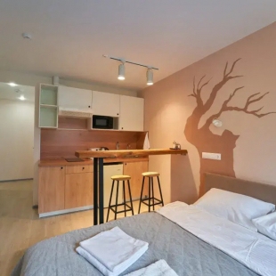 Фотография квартиры Апартаменты на Улице Ленина 54 4