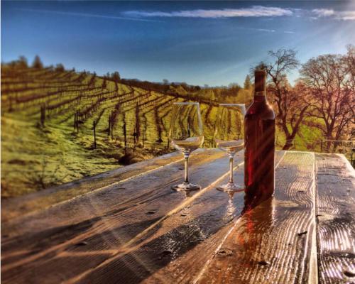 Фотография гостевого дома Papillon Cellars - The Loft