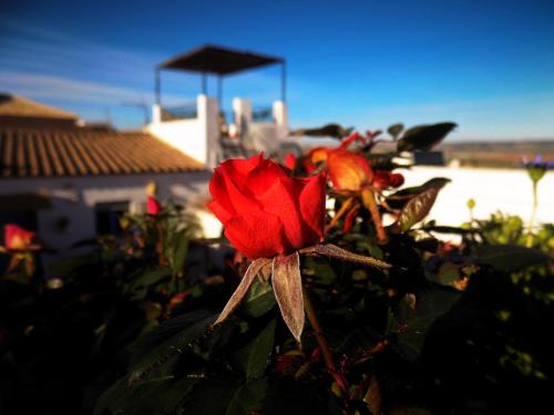 Фотография гостевого дома Casa Campana