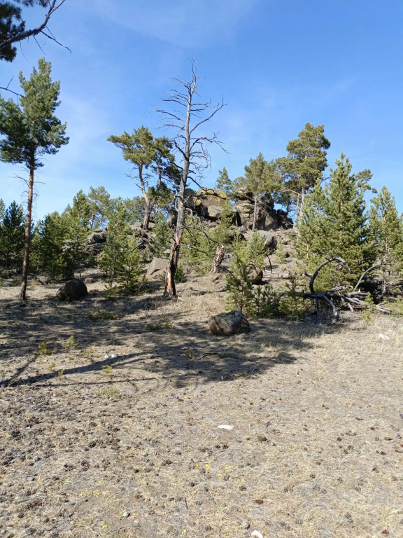 Фотография Коттеджа Дом на Центральной 19