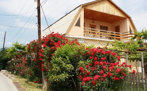 Фотография гостиницы Тенистый дворик на Фруктовой