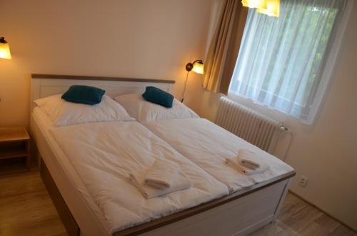 Фотография гостевого дома Penzion Horal