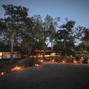 Фотография кемпинга Leopard Trails Yala