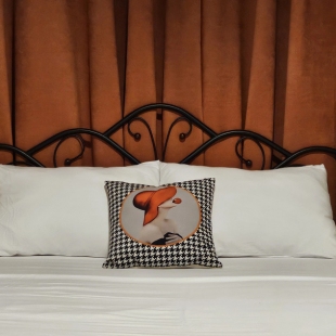 Фотография квартиры Квартира с Историей