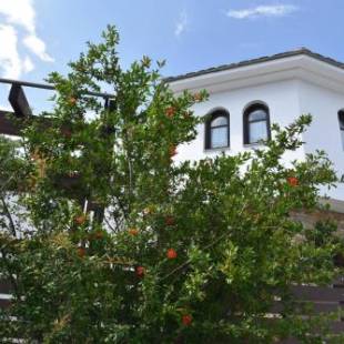 Фотографии гостевого дома 
            Karpofora Traditional Guesthouse