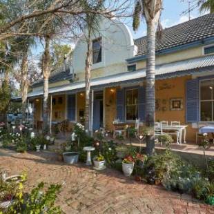 Фотографии гостевого дома
Yellow Aloe