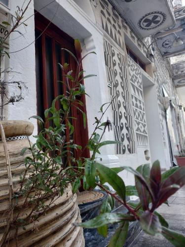 Фотография гостевого дома Xista Manor House ®