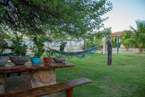 Фотография гостиницы Hotel São Francisco