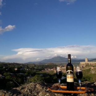 Фотография гостевого дома wine garden rabati