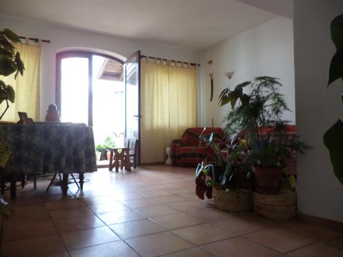 Фотография гостевого дома Casa do João