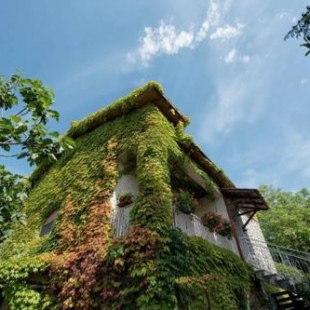 Фотография гостевого дома Casale Bambù - Hidden Countryhouse
