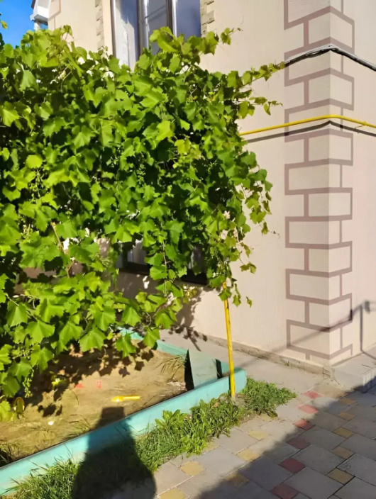 Фотографии Коттеджа 
            Частный Дом с Террасой и Качелей