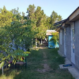 Фотография гостиницы Нептун в Приморском