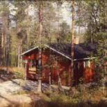 Фотография гостевого дома Holiday Home Viipusjärvi 12