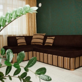 Фотография квартиры Квартира Ледовый дворец