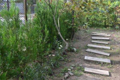 Фотографии гостевого дома
Specious and Cozy stay at Zugdidi