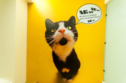 Фотография мини отеля X Square