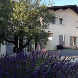 Фотографии мини отеля
Aux Sources d'Hossegor