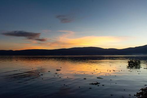 Фотография мини отеля Las Palomas Bed & Breakfast (16 y Mayores)