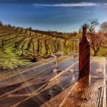 Фотография гостевого дома Papillon Cellars - The Loft