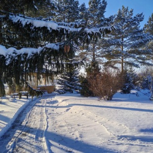 Фотография Коттеджа Частный дом с Камином Соколово