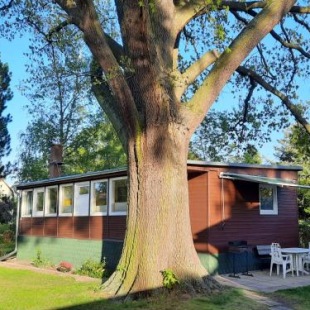 Фотография гостевого дома Ferienhaus Eichenblatt