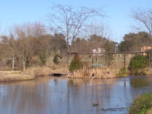 Фотография мини отеля El Tramway