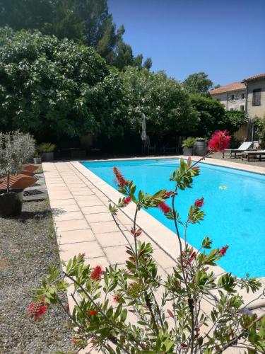 Фотографии мини отеля
Mon Petit Soulié