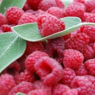 Фотографии мини отеля 
            La Salvia e Il Lampone