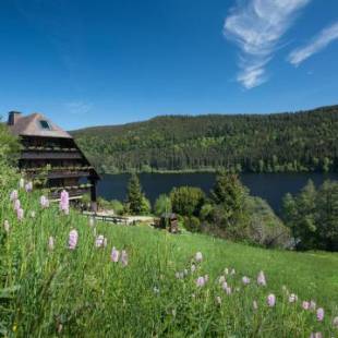 Фотографии гостиницы 
            Alemannenhof - Boutique Hotel am Titisee