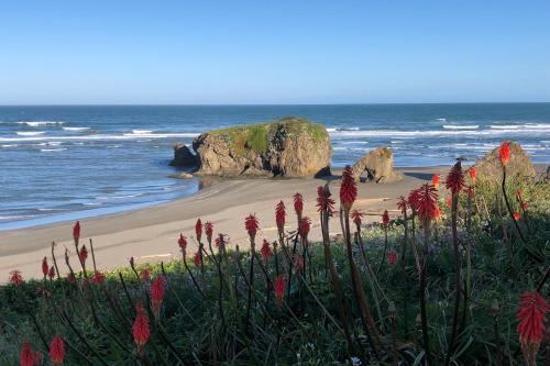 Фотография гостевого дома Dolphin Manor