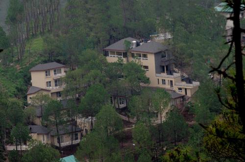 Фотография гостиницы Jungle Lodge Resort