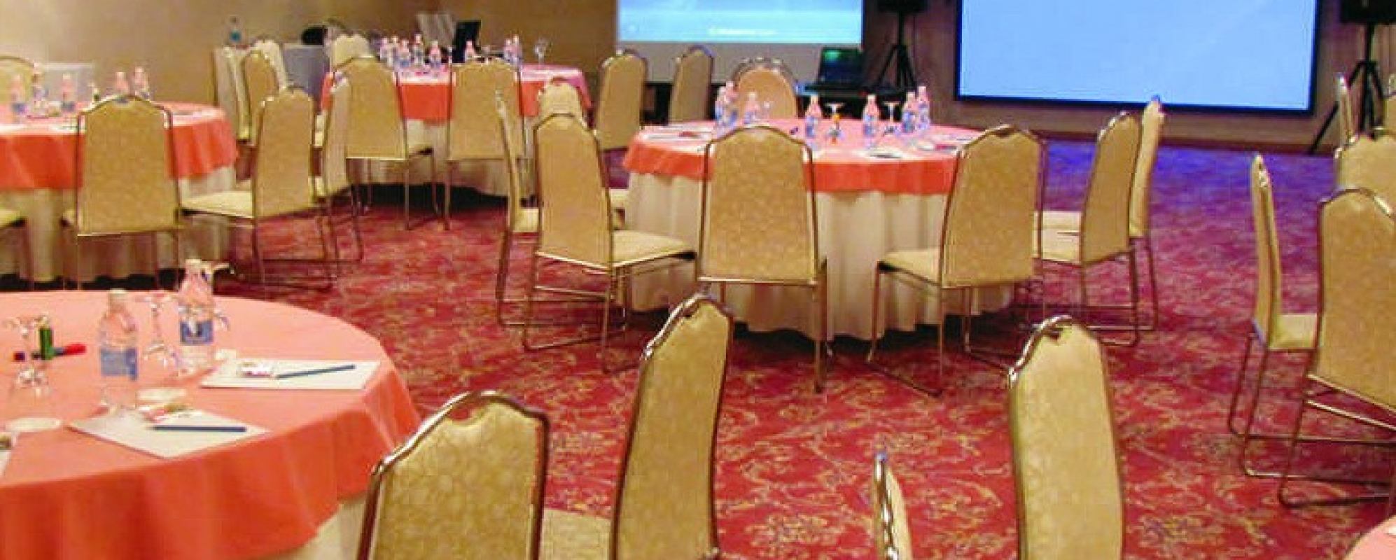 Фотографии конференц-зала Алмаз