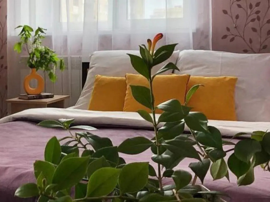 Фотография квартиры Апартаменты YarKo 2