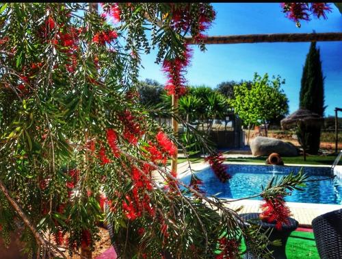 Фотография мини отеля Monte Santa Catarina