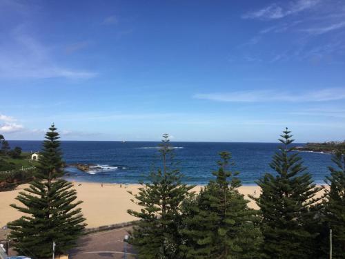 Фотография апарт отеля Coogee Sands Hotel & Apartments