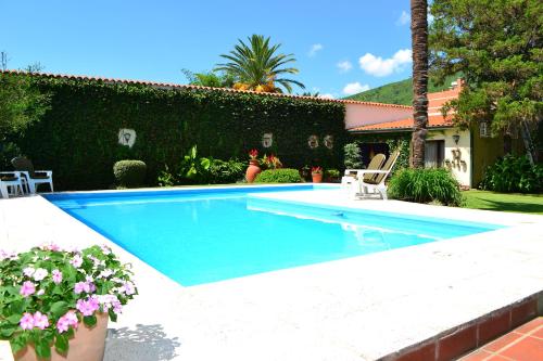 Фотография гостиницы Hotel Boutique La Candela