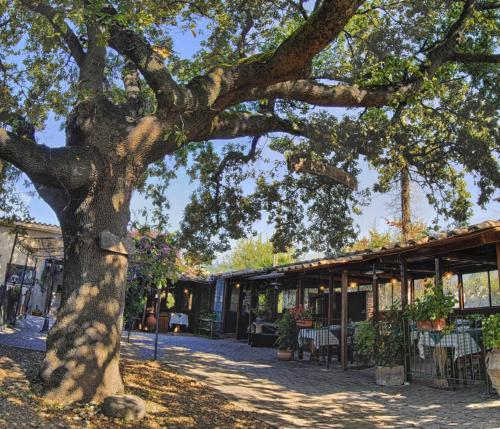 Фотография мини отеля La Vecchia Quercia