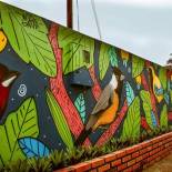 Фотография мини отеля Pousada Veadeiros