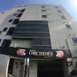 Фотография мини отеля Hotel Orchid (Adult only)