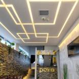 Фотография гостевого дома Pensiune Pavo