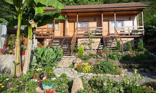 Фотографии гостевого дома 
            У Платана