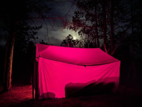 Фотография кемпинга Цветок под Снегом