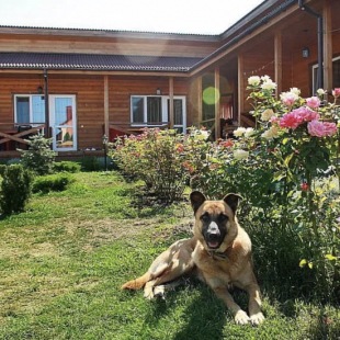 Фотография гостиницы Суслик Морской