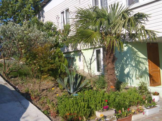 Фотографии гостевого дома
Эллина