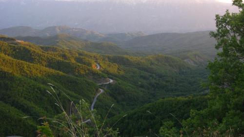 Фотографии гостевого дома
Petrino Spiti