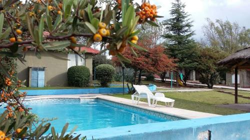 Фотография гостевого дома COMPLEJO CABAÑAS DEL ALTO