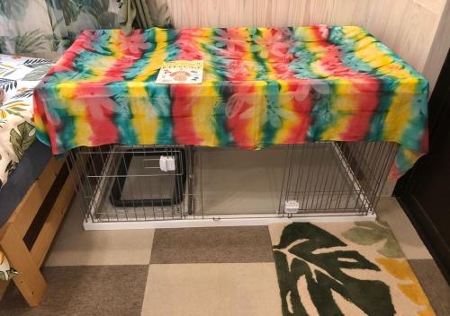 Фотография гостевого дома Churashima Heartland / Vacation STAY 74215