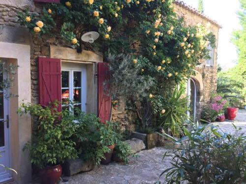 Фотография мини отеля Les Aiguières en Provence