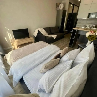 Фотография квартиры Sibir House на проспекте Притомский 25